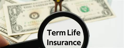 term life insurance 5 years